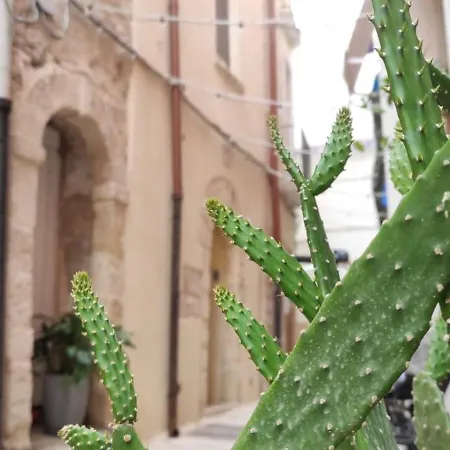 La Follia Dell'architetto * Bari